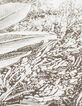 Cremewei&szlig;es Jungenhemd aus Ecovero&reg; mit Dschungelprint -7