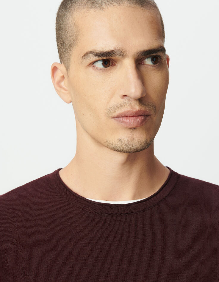 Pflaumenbrauner Herrenpulli Biowolle Feinstrick geflammt-4