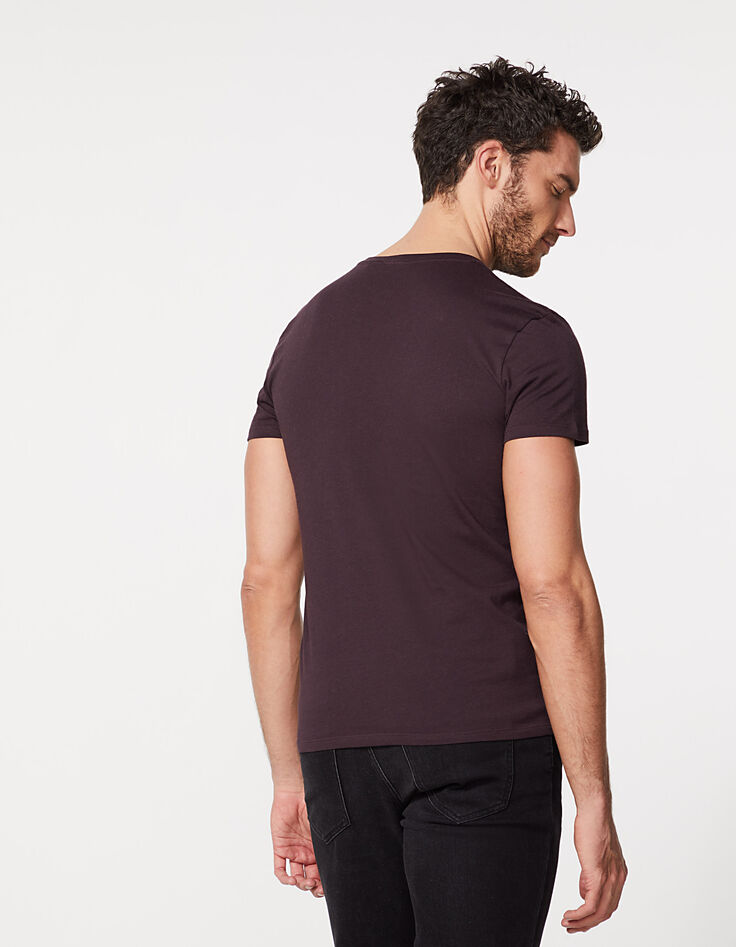 Tee-shirt prune esprit Homme de Vitruve Homme-4 Tee-shirt prune esprit Homme de Vitruve Homme-4