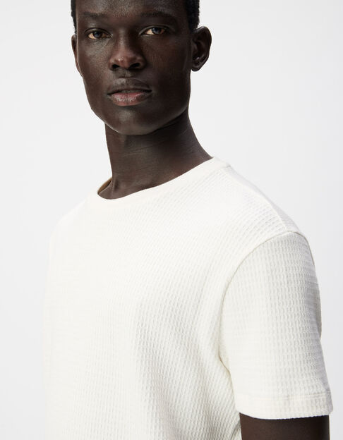 Men's ecru organic cotton round neck T-shirt - IKKS