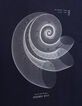 Marine Jungen-T-Shirt, Biobaumwolle, Spirale-Muschel-4