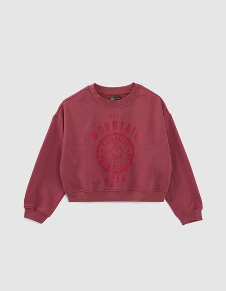 Girls’ cherry mountains image flocked sweatshirt