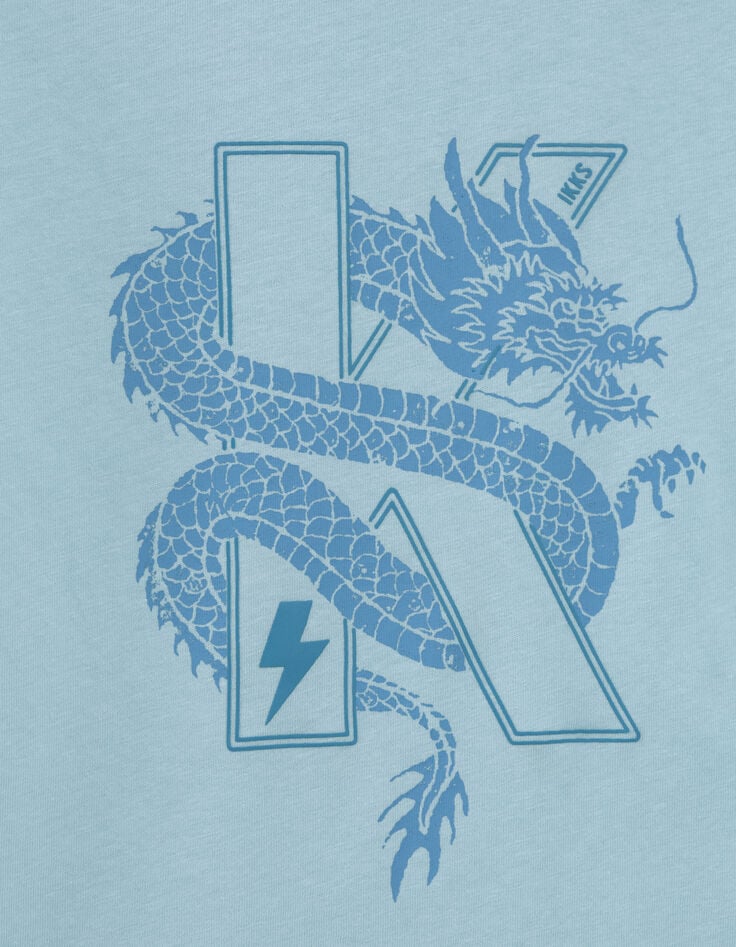 Aqua Jungen-T-Shirt aus Biobaumwolle mit Drachen-K-4