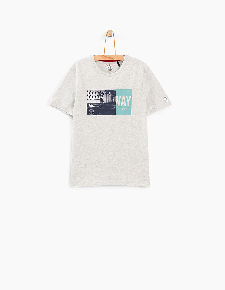 T-shirt grijs gechineerd vlag-skater -2