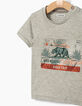 Tee-shirt gris visuel ours bébé garçon -2
