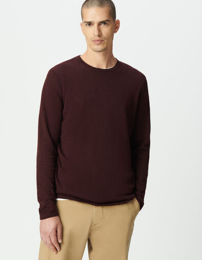 Pull prune coton bio tricot fin flamm&eacute; Homme - IKKS