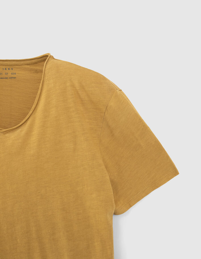 Men’s lichen organic cotton Essential V-neck T-shirt