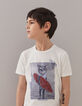 Boys' off-white cat-surfer graphic T-shirt-1