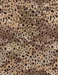 Amandelkleurige top met dierenprint Dames-3