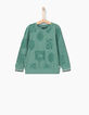 Boys’ emerald basketball and lion sweatshirt -1