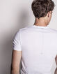Tee-shirt homme-3