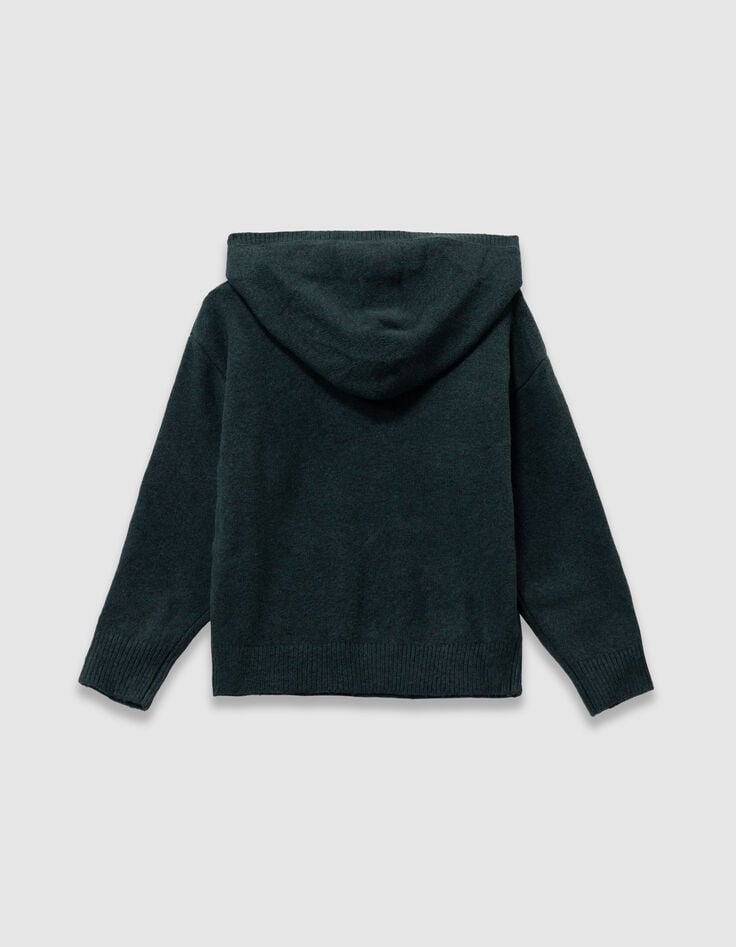 Pull à capuche vert tricot visuel chien garçon-5 Pull à capuche vert tricot visuel chien garçon-5