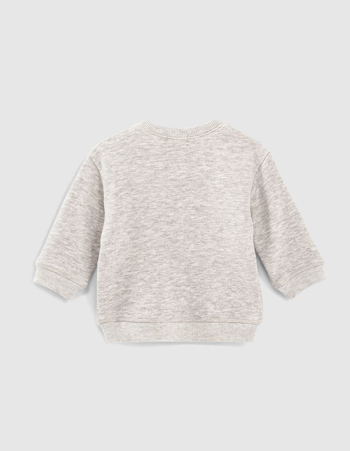 Sweat gris avec visuel lenticulaire lion-ancre bébé garçon-4