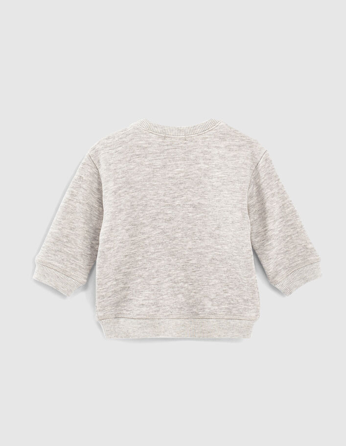 Grijze sweater lenticulaire print leeuw-anker babyjongens - IKKS