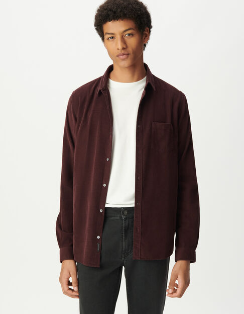 Chemise regular prune coton bio velours milleraies Homme - IKKS