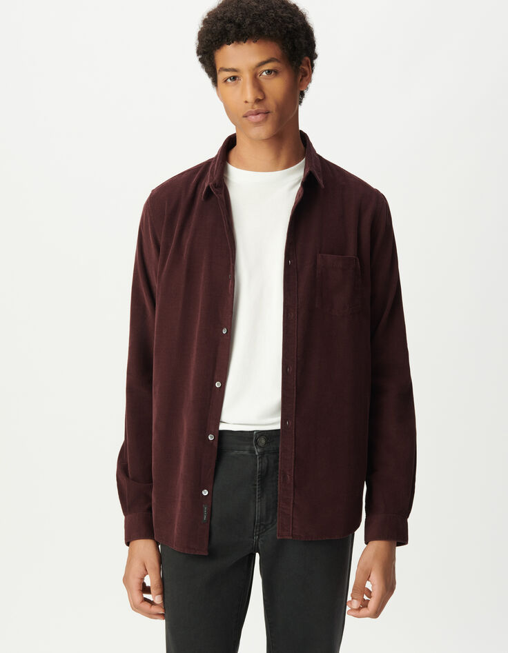 Chemise regular prune coton bio velours milleraies Homme-1