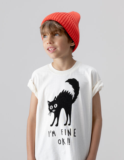 Wit T-shirt poes velours flocking jongens - IKKS
