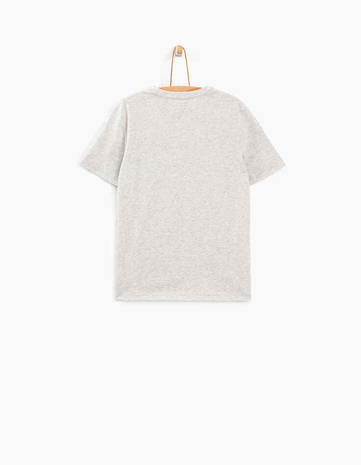T-shirt grijs gechineerd vlag-skater -3