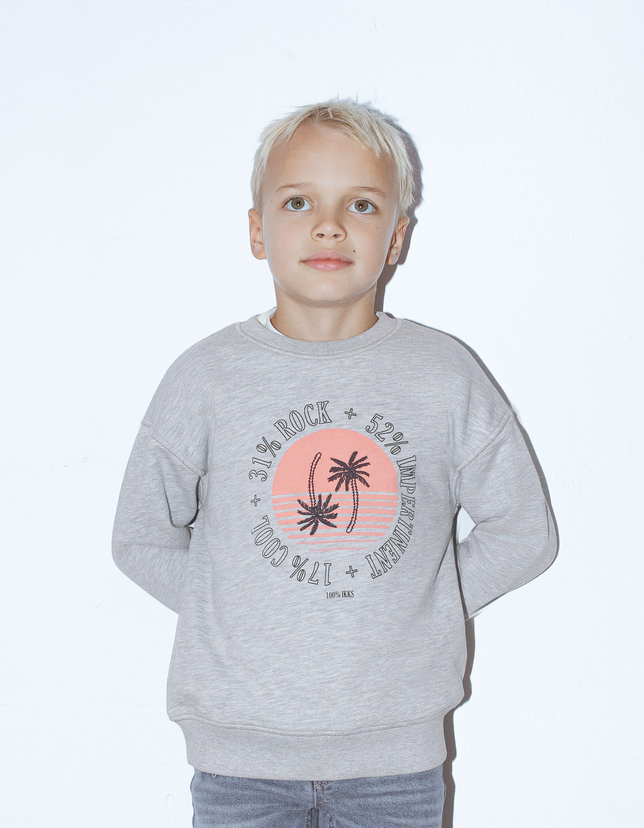 Boys grey organic cotton sweatshirt palm tree graphic