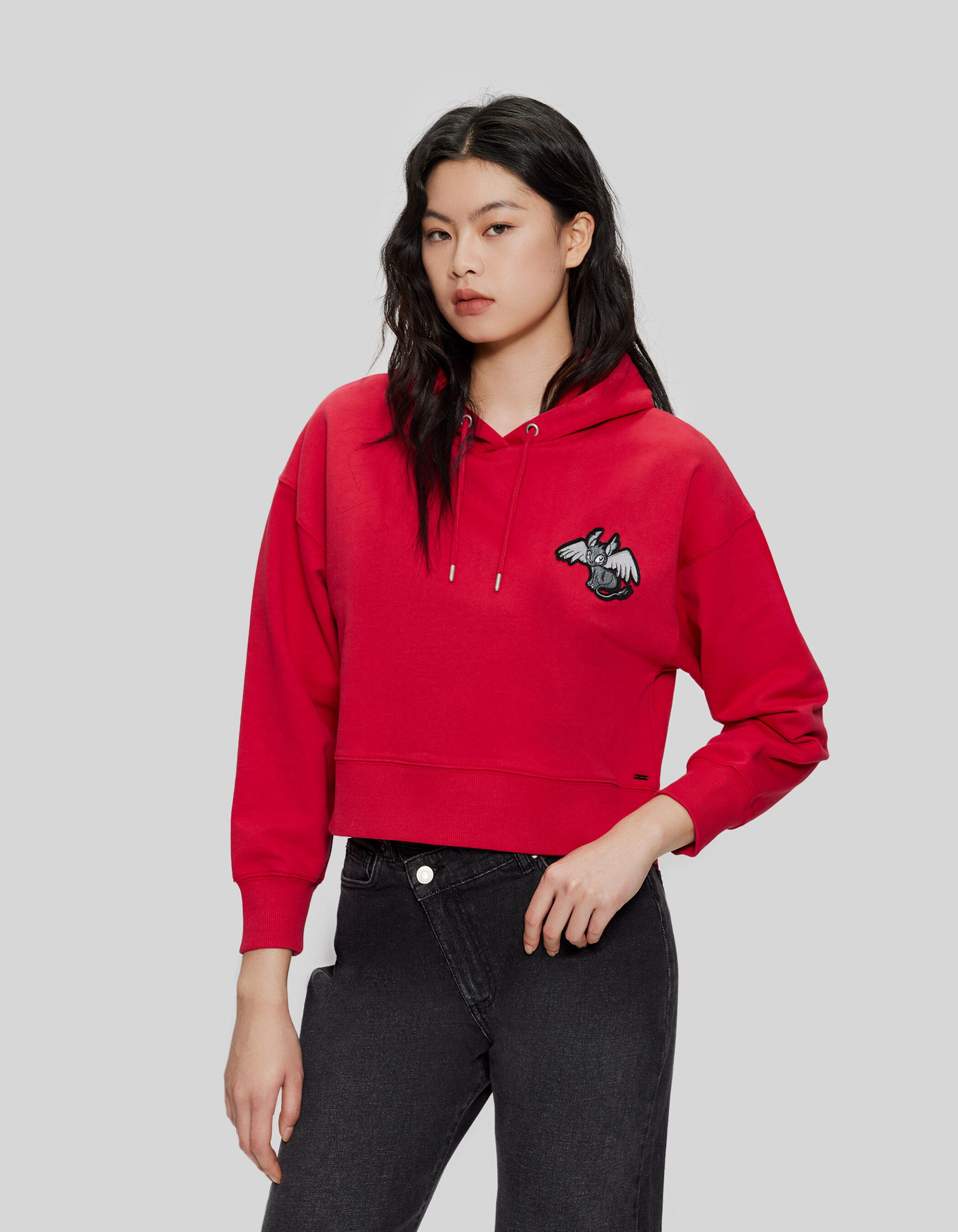 Embroidered dragon hoodie discount
