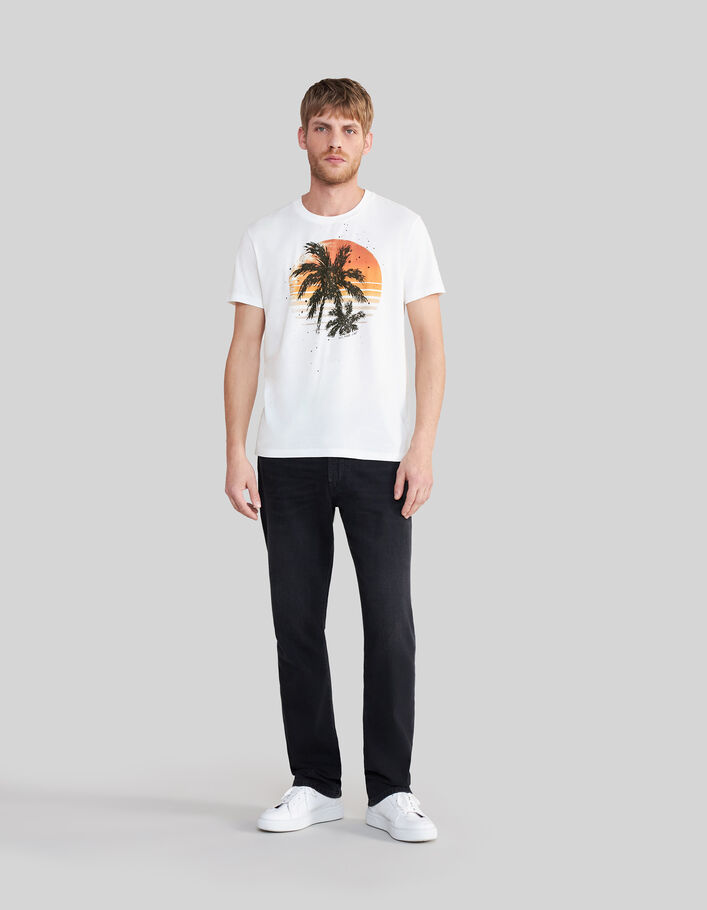 T-shirt blanc coton bio visuel palmiers Homme - IKKS