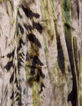 Beige fluwelen rok abstracte print Dames-7