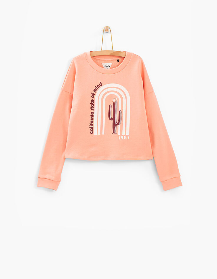 Koraal sweater regenboog op cactus-2