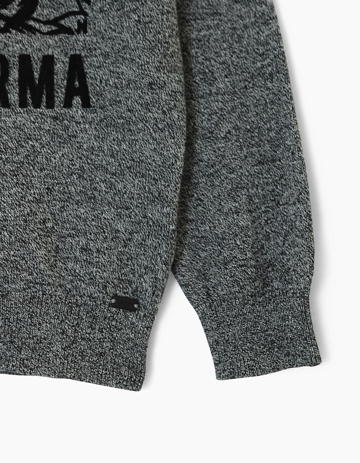 Pull gris chiné à capuche flocage tigre Good Karma garçon -5 Pull gris chiné à capuche flocage tigre Good Karma garçon -5