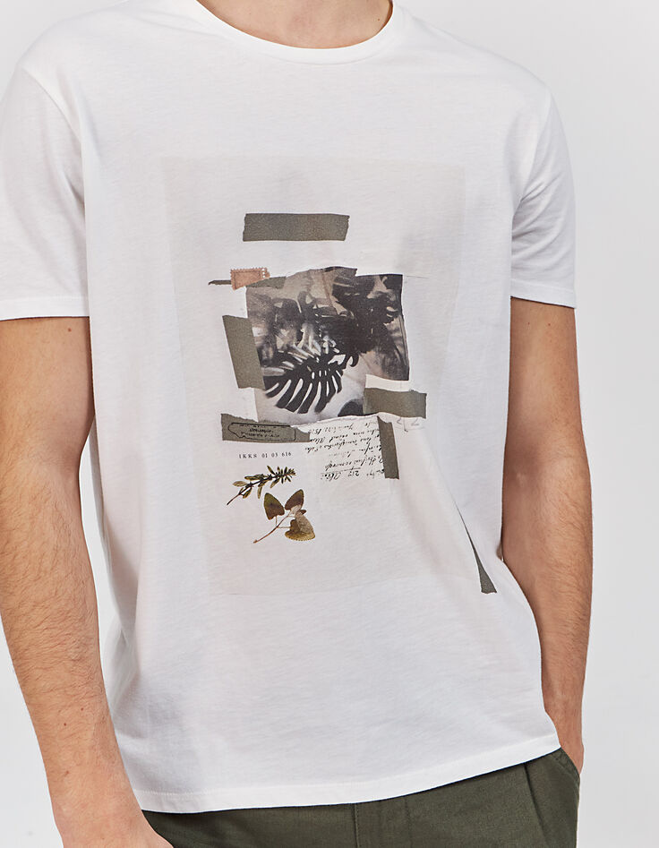 Tee-shirt off white visuel herbier Homme-3