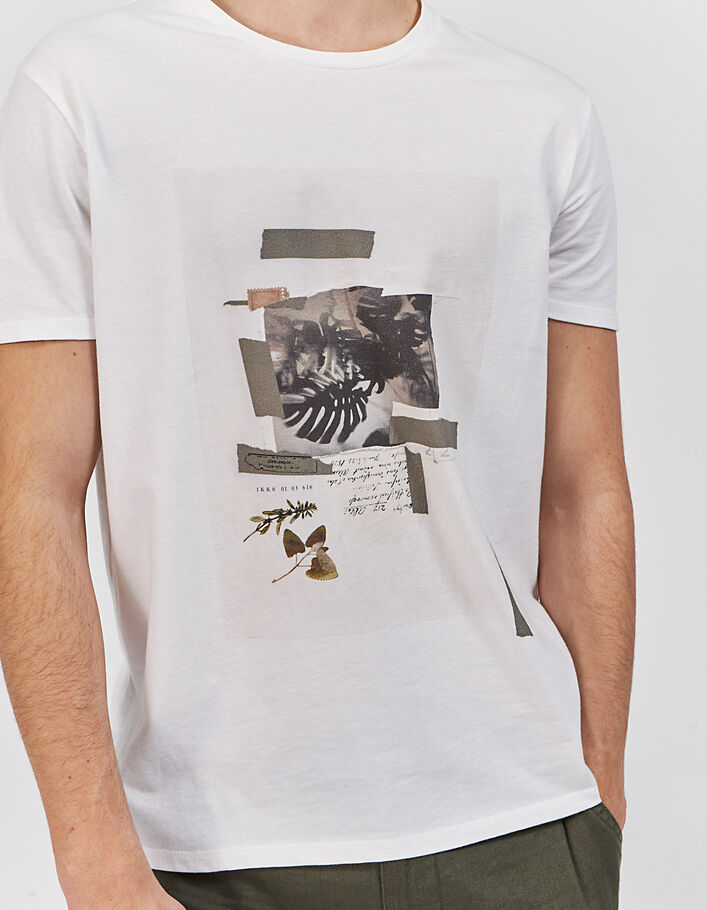 Camiseta off white con motivo vegetal Hombre - IKKS