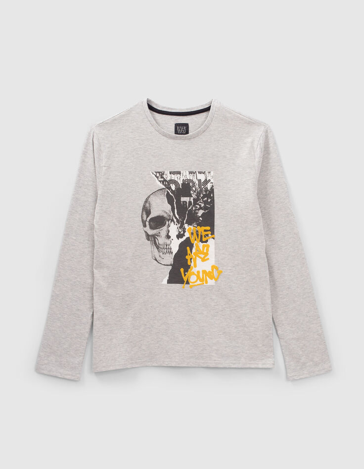 Boys&rsquo; grey double image and flocked T-shirt-1