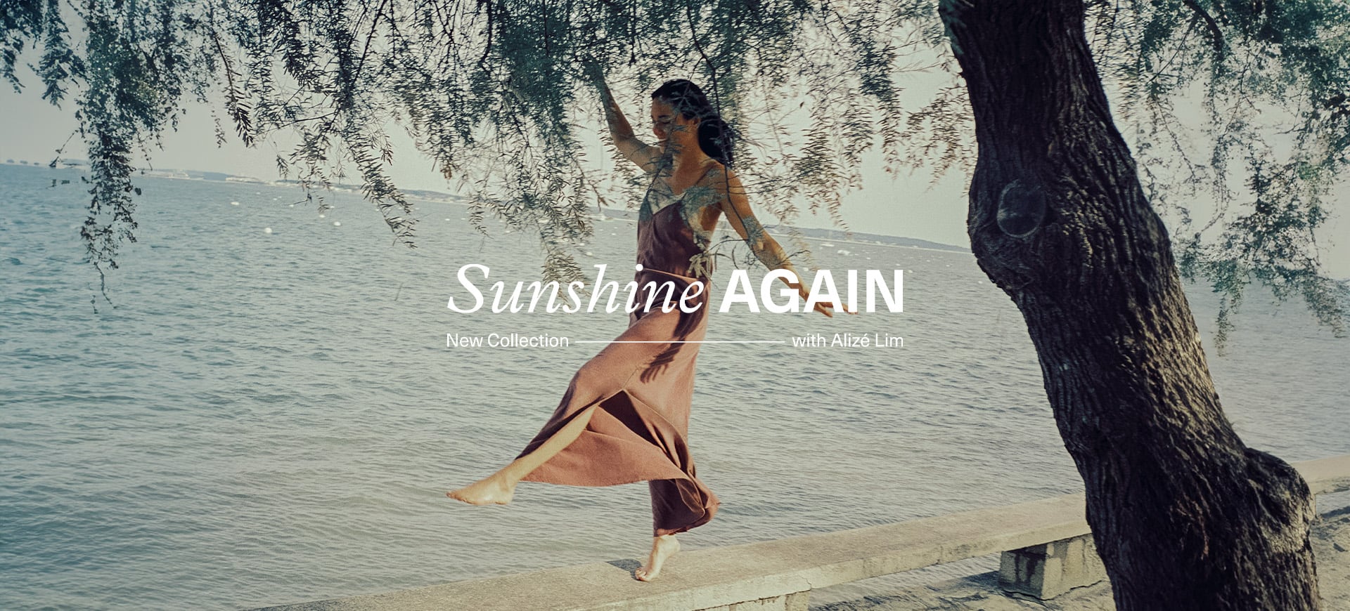 Sunshine Again