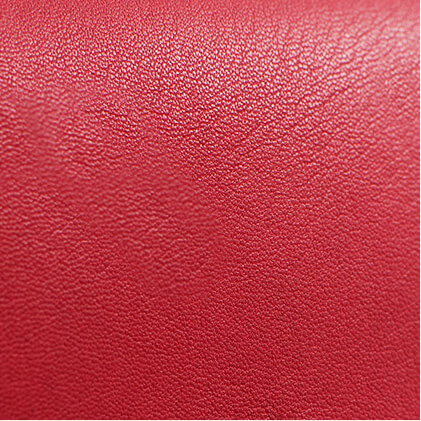 Cowhide leather focus 