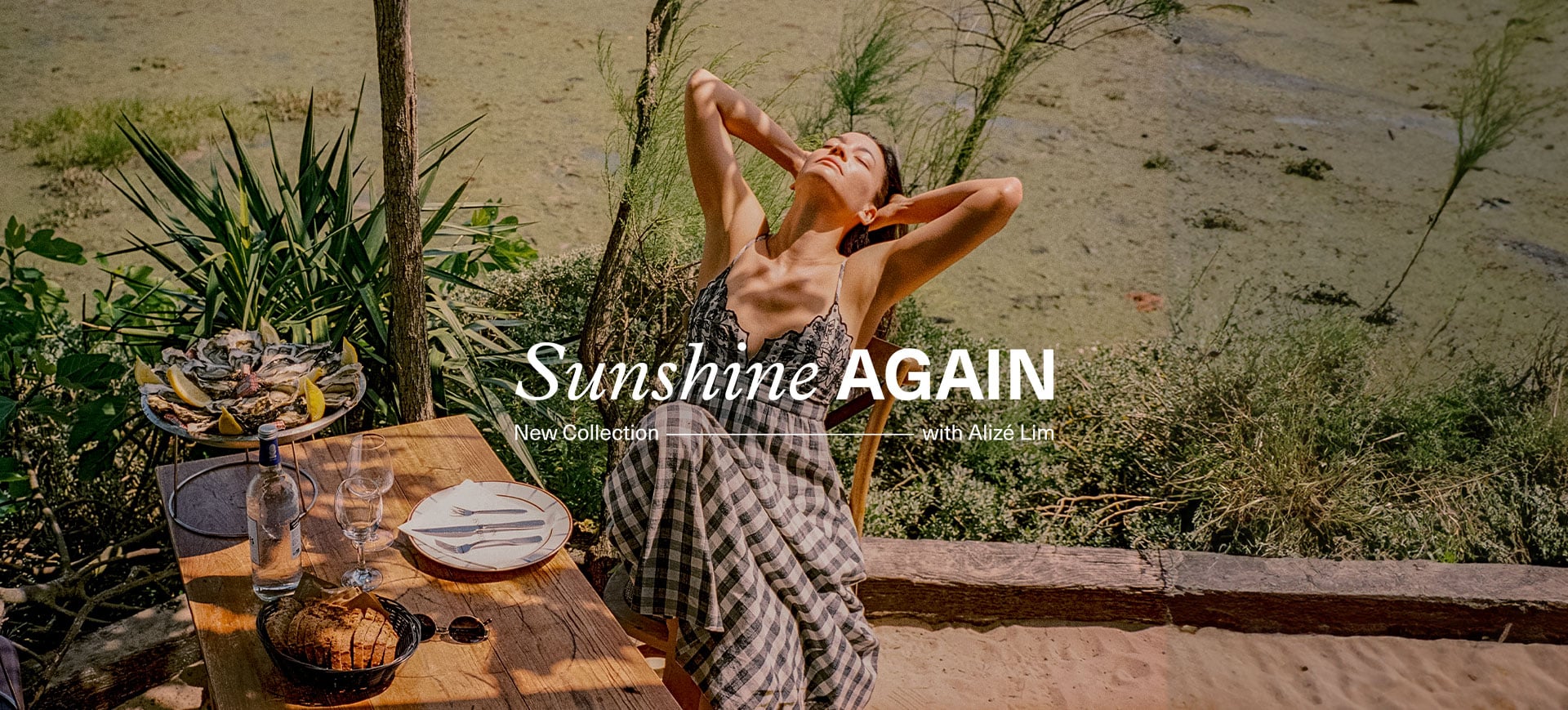 Sunshine Again