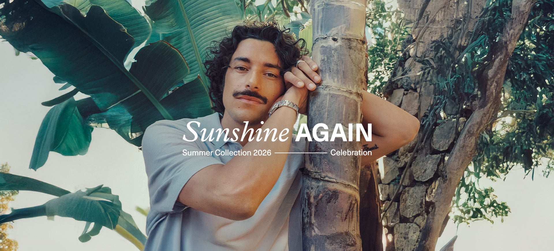 Sunshine Again